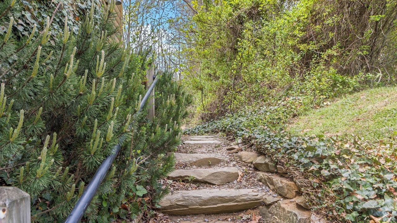 Photo of Outdoor in Waynesville