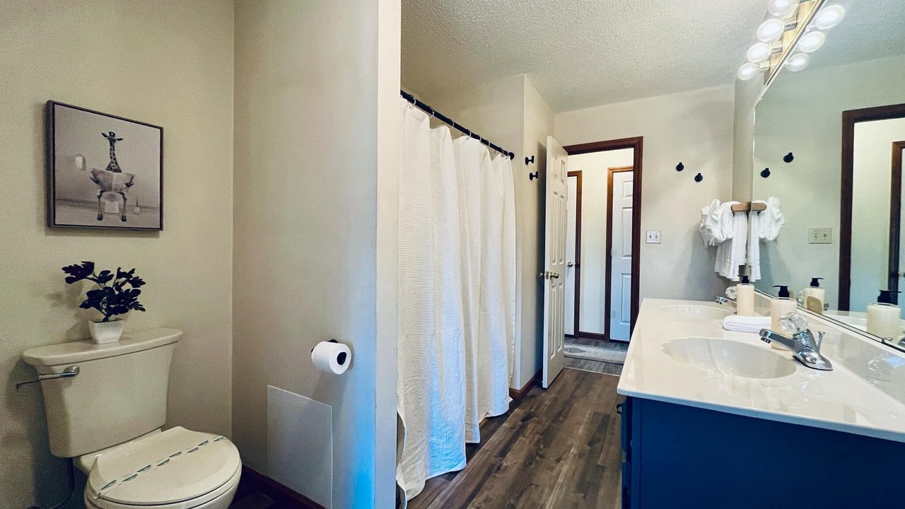 Photo of Bathroom in Sevierville