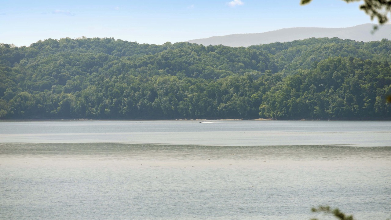Photo of Others in Dandridge