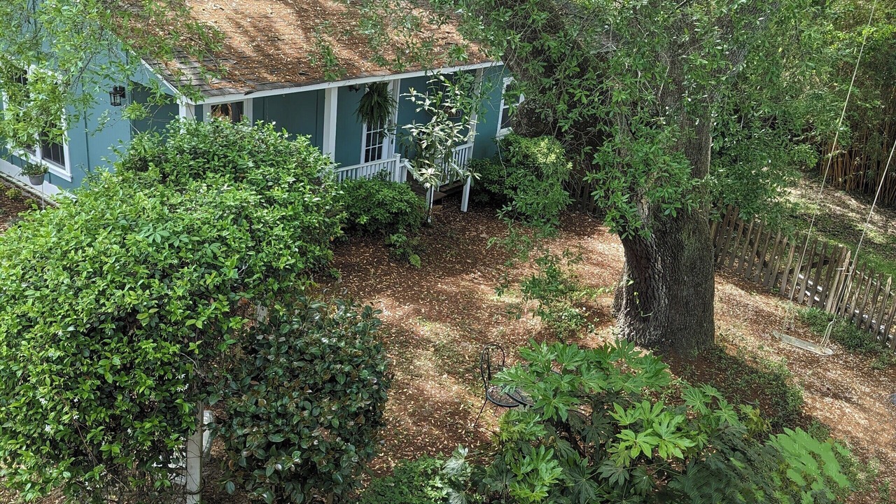Photo of Outdoor in West Ashley