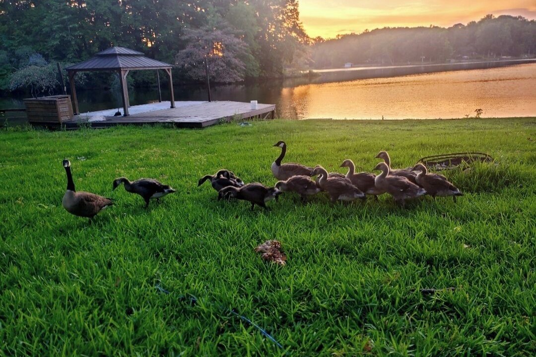 Photo of Others in Macon