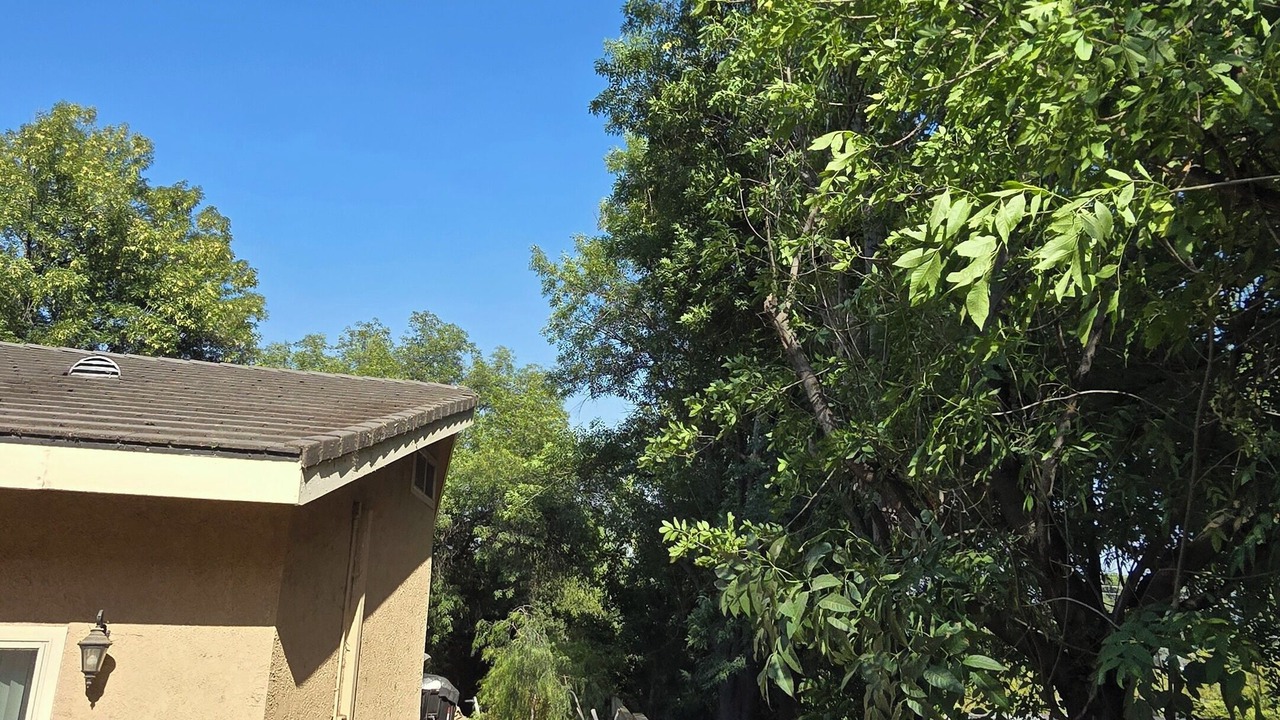Photo of Outdoor in Simi Valley