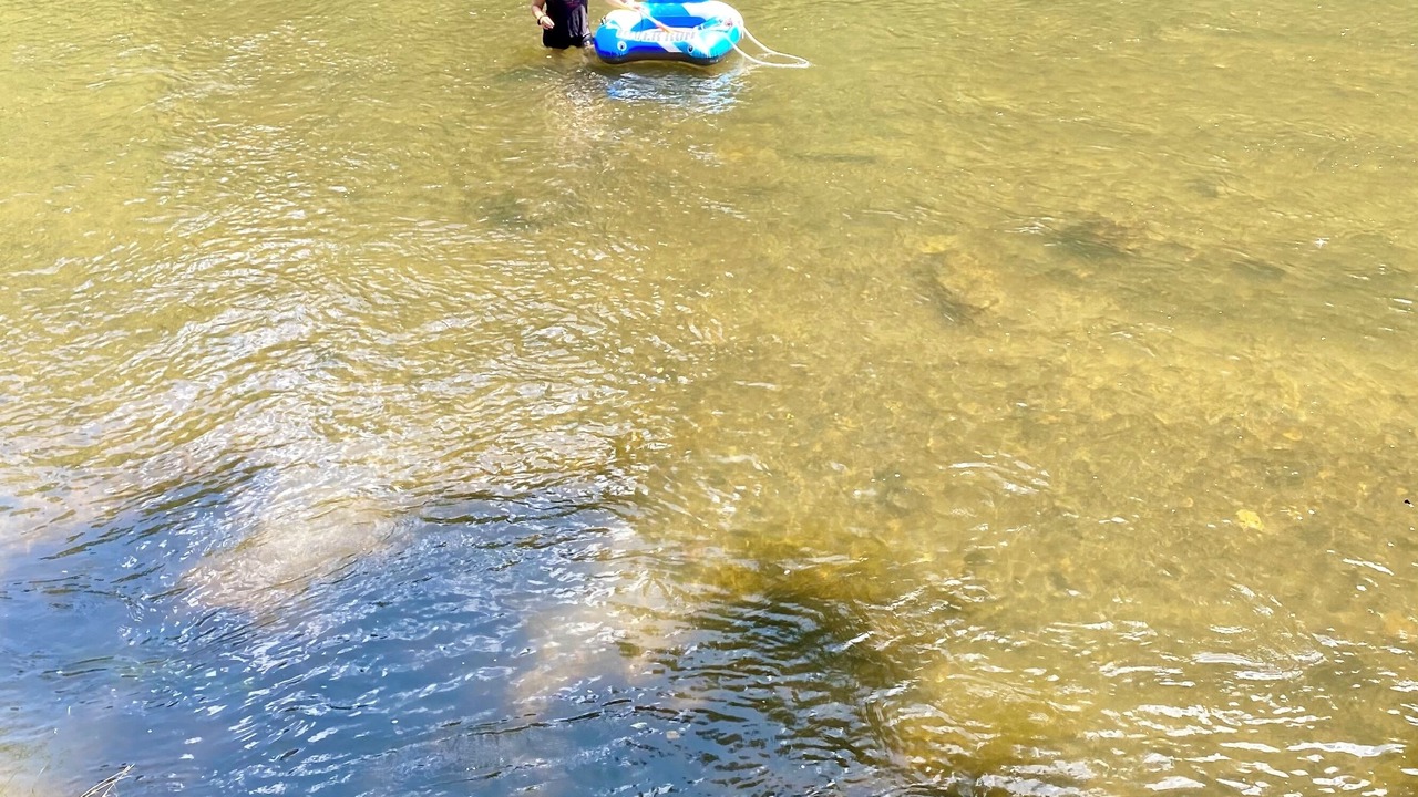Photo of Others in Sylva