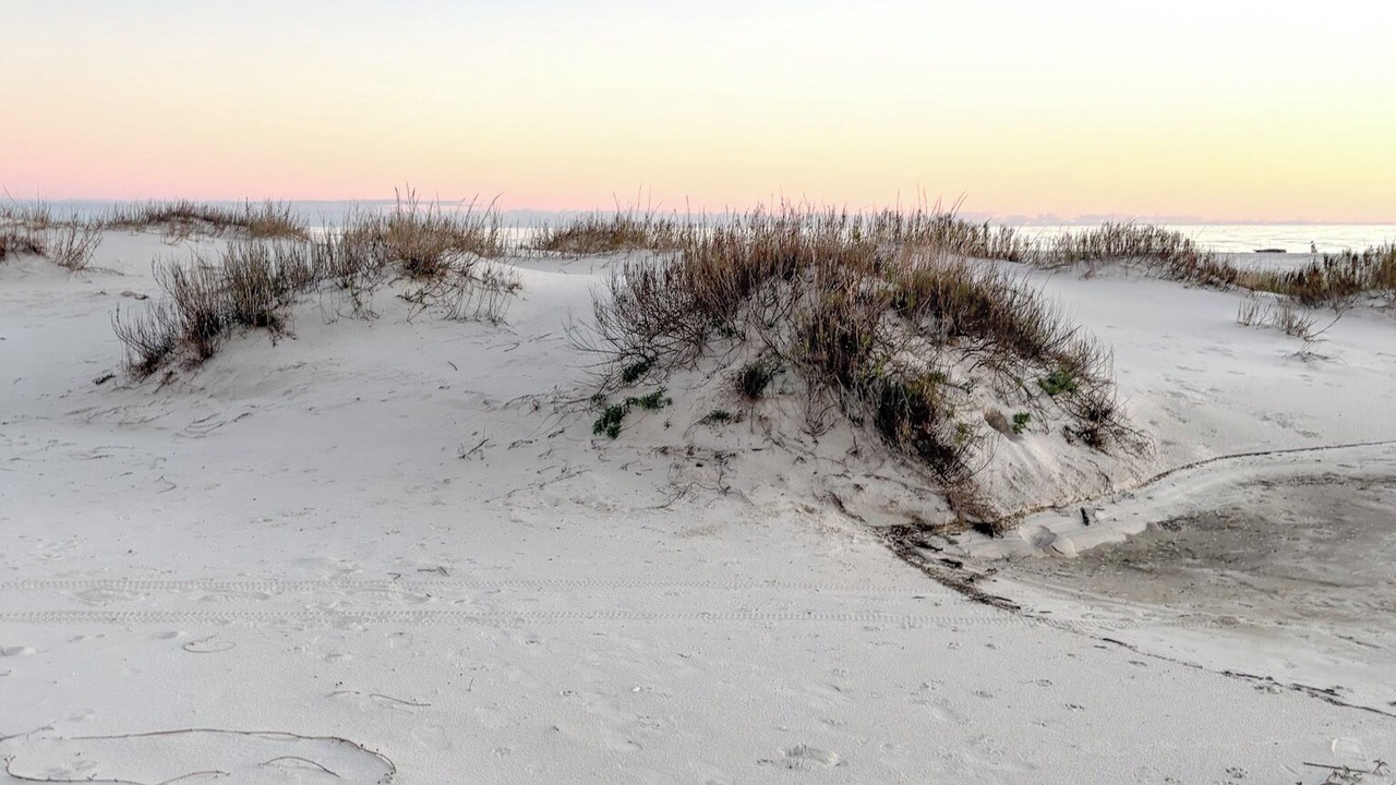 Photo of Others in Dauphin Island