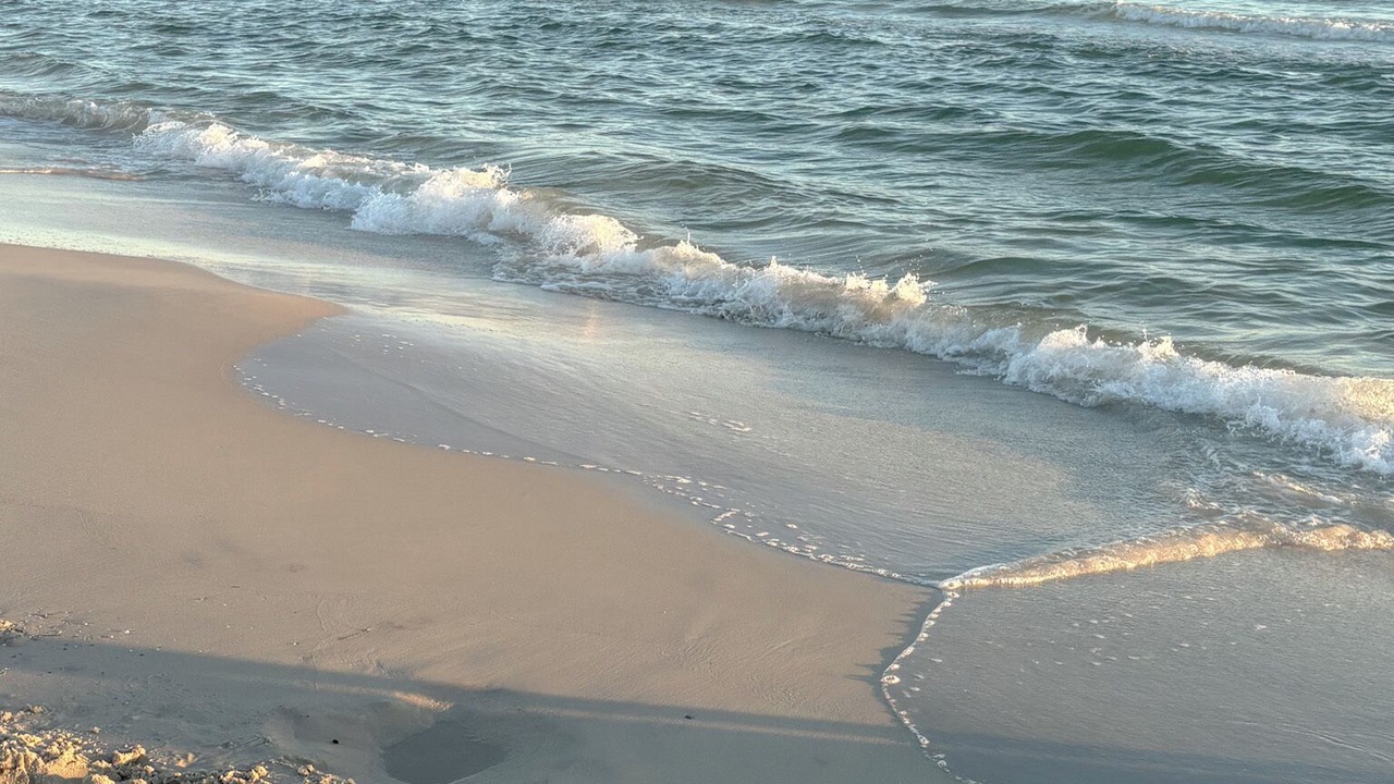 Photo of Others in Dauphin Island