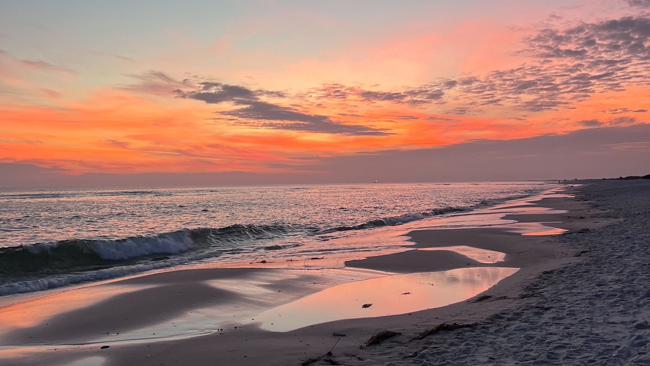 Photo of Others in Dauphin Island
