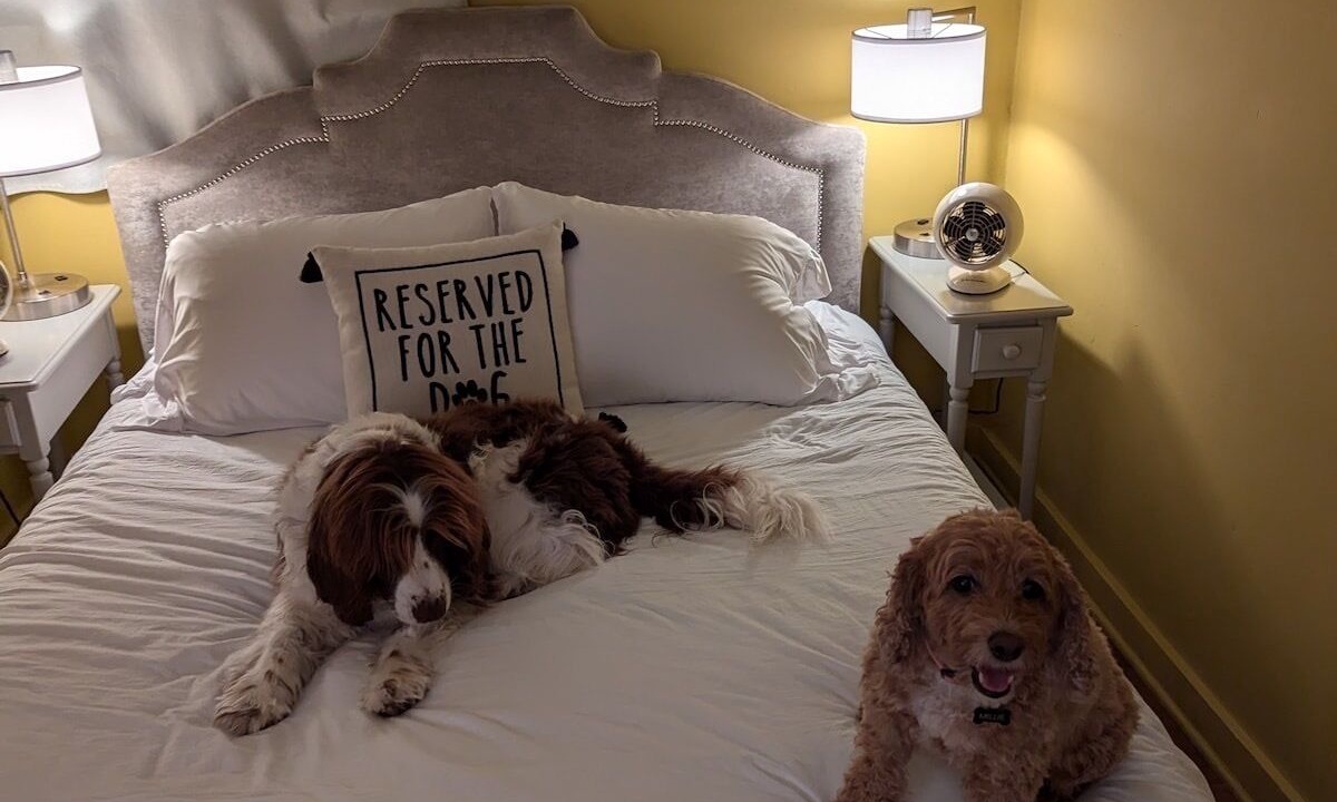 Photo of Bedroom in Mars Hill