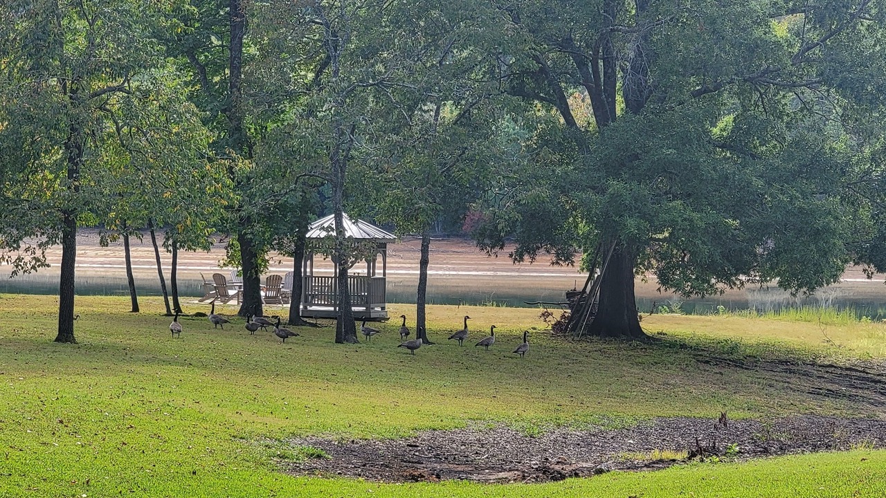 Photo of Outdoor in Dandridge