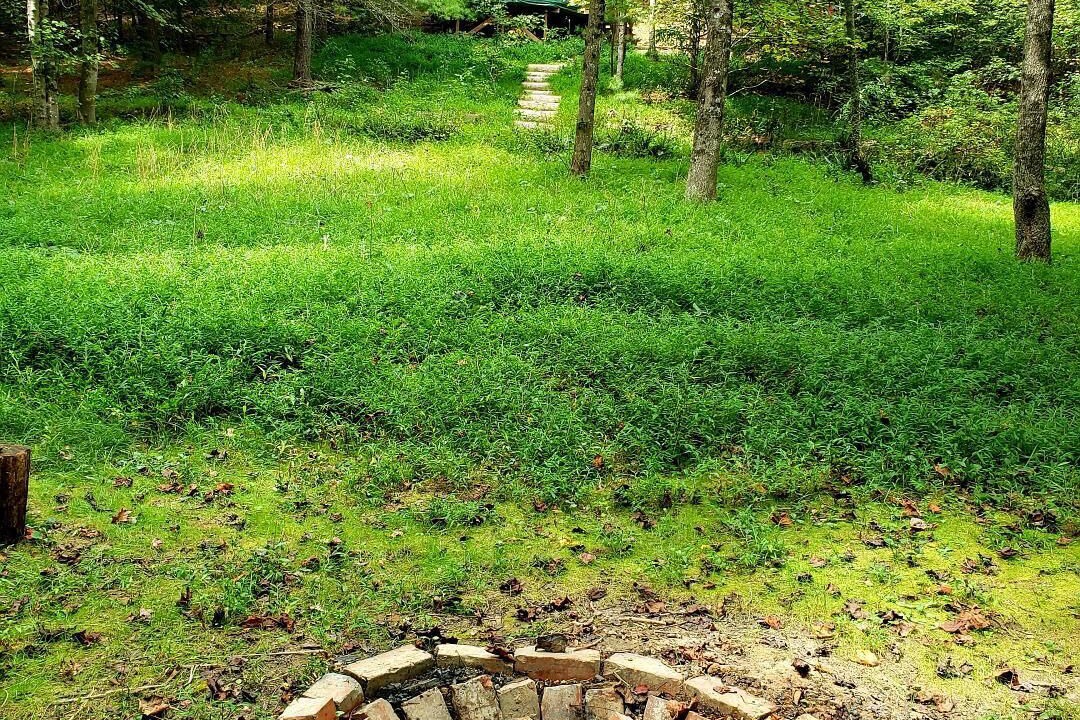Photo of Outdoor in Alexander