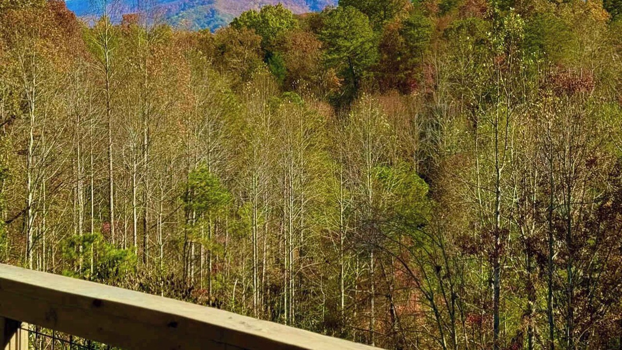 Photo of Outdoor in Gatlinburg