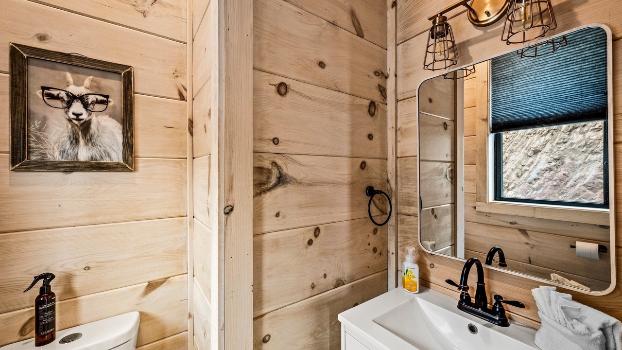 Photo of Bathroom in Sevierville