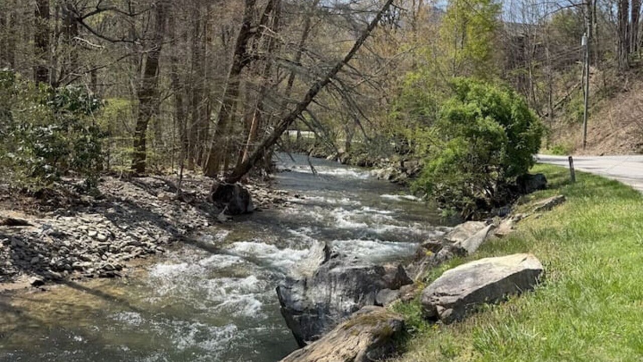 Photo of Others in Maggie Valley