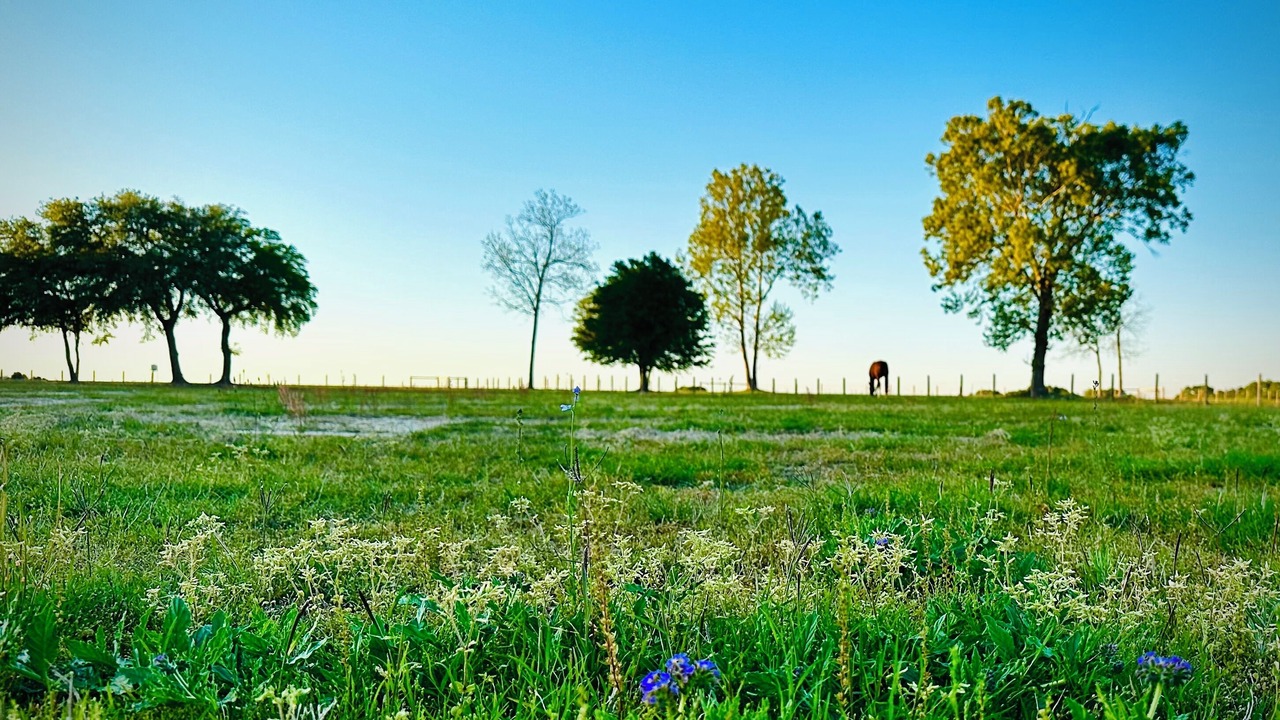 Photo of Others in Wagener