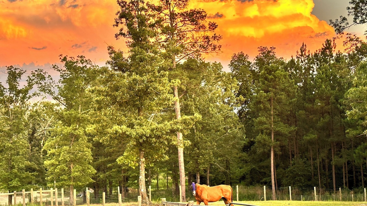 Photo of Others in Wagener
