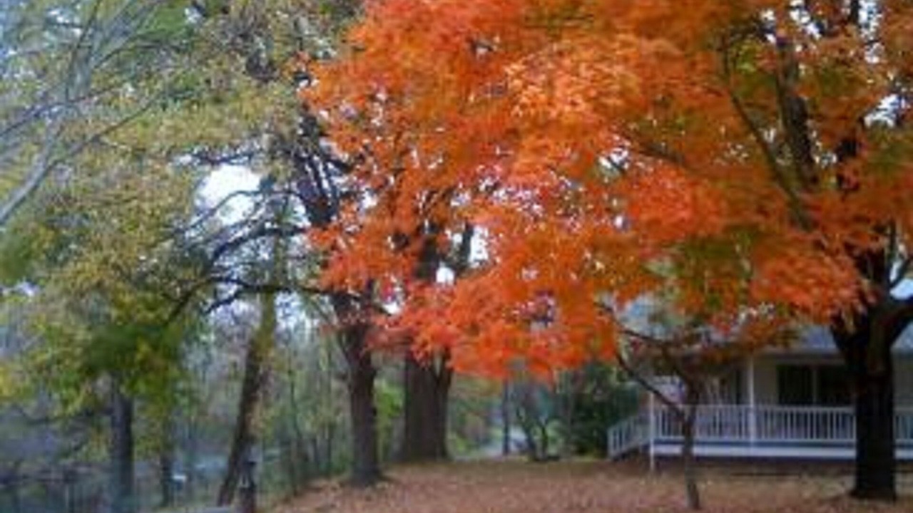 Photo of Others in Sevierville