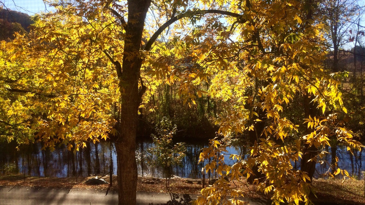 Photo of Outdoor in Sevierville