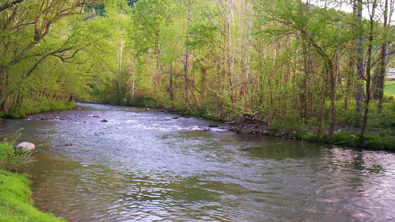 Photo of Others in Sevierville