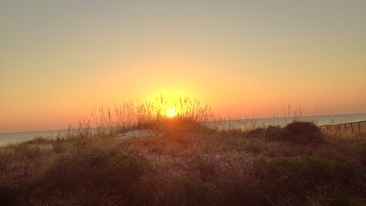 Photo of Others in Jekyll Island