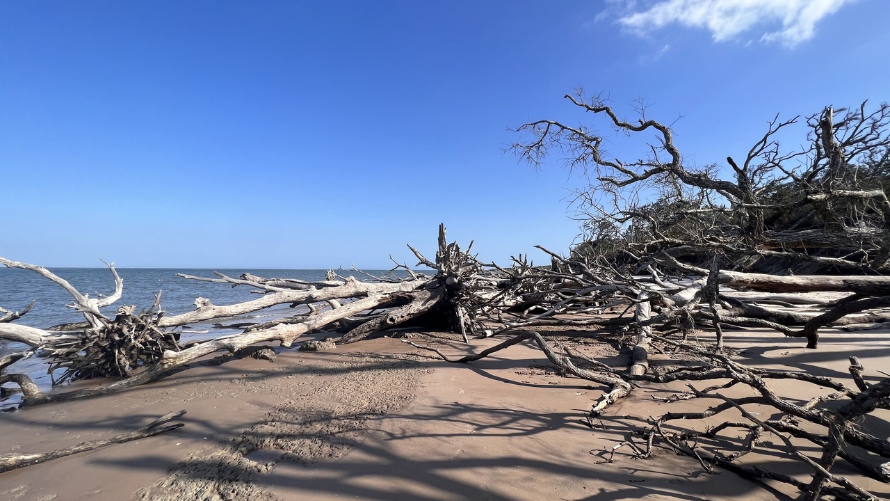 Photo of Others in Fernandina Beach
