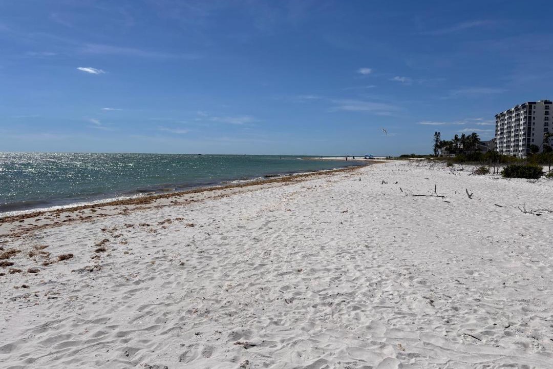 Photo of Others in Laguna Shores