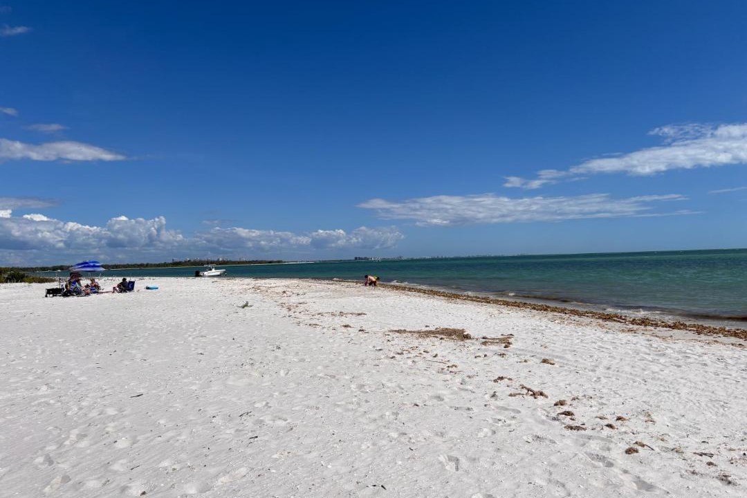 Photo of Others in Laguna Shores