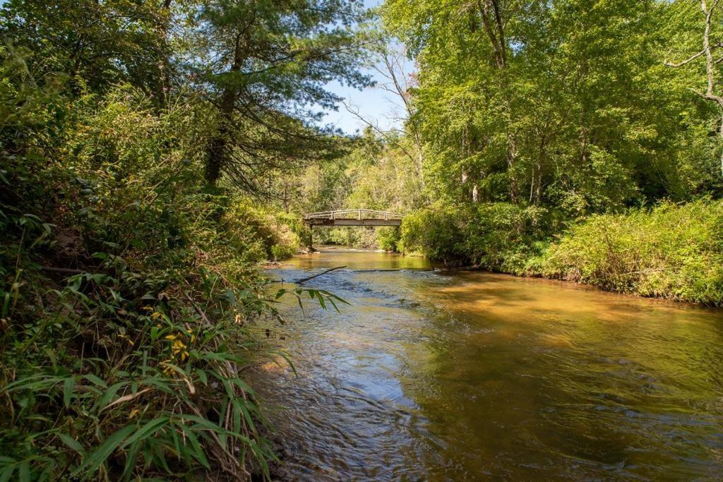 Photo of Others in Transylvania County