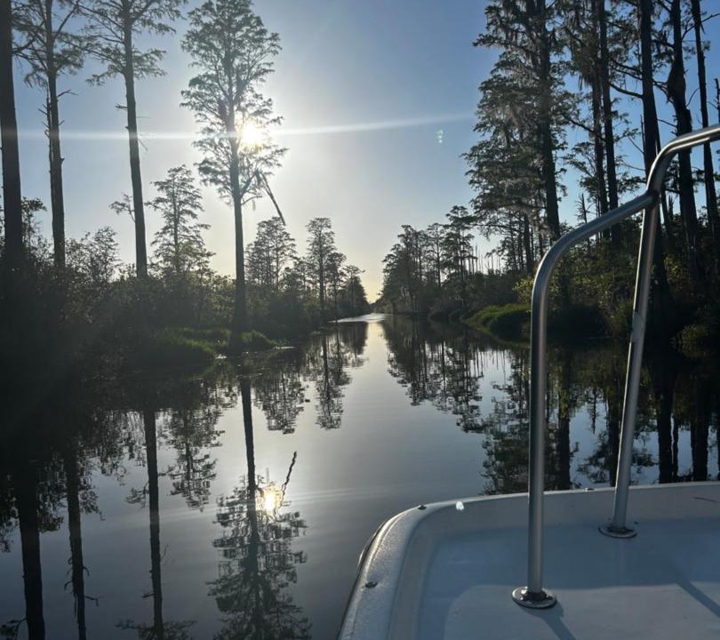 Photo of Others in Folkston