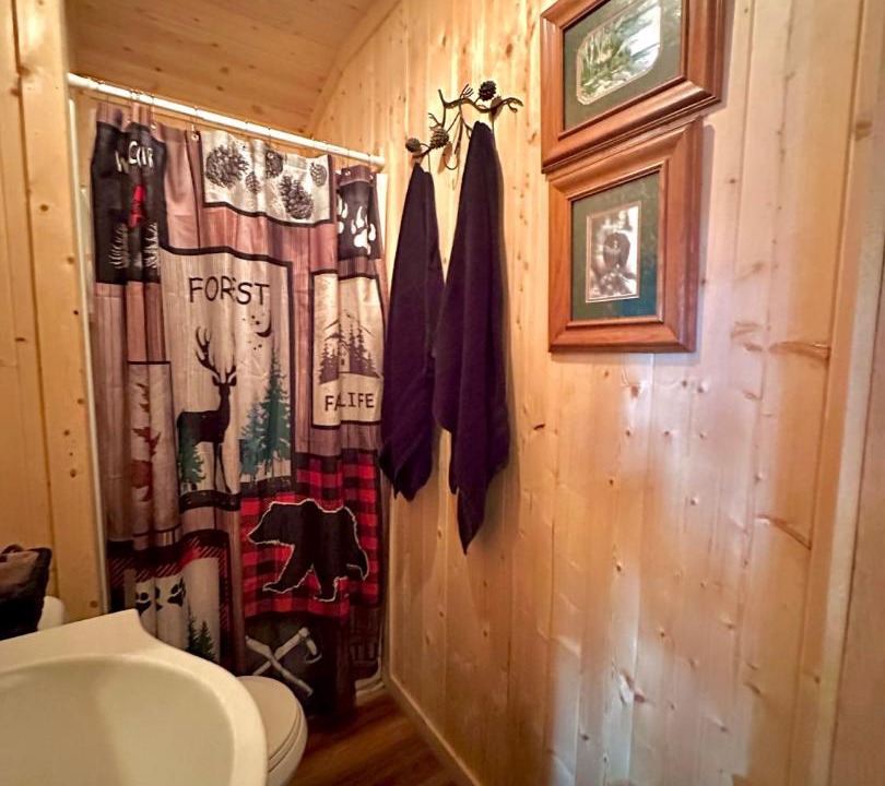Photo of Bathroom in Cosby