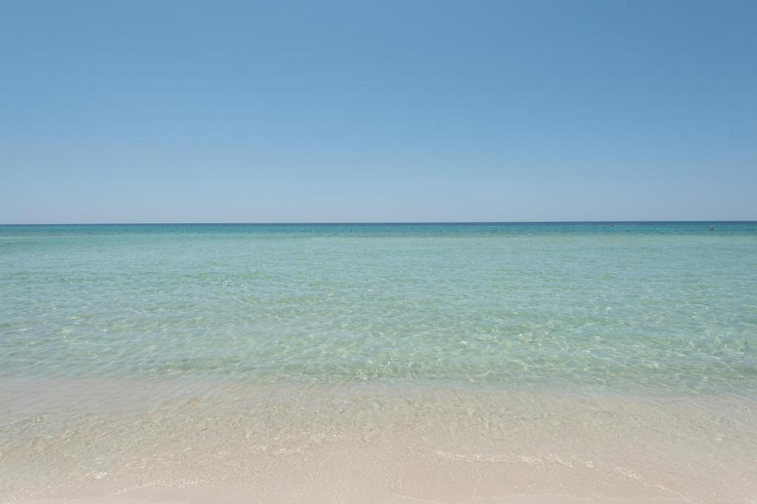 Photo of Others in West Panama City Beach