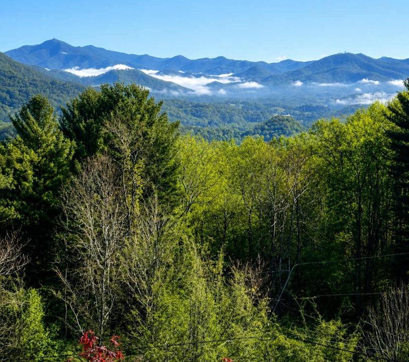 Photo of Others in Waynesville