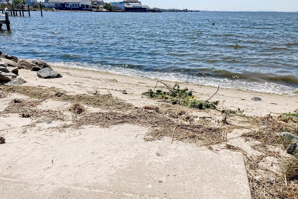 Photo of Others in Seabreeze