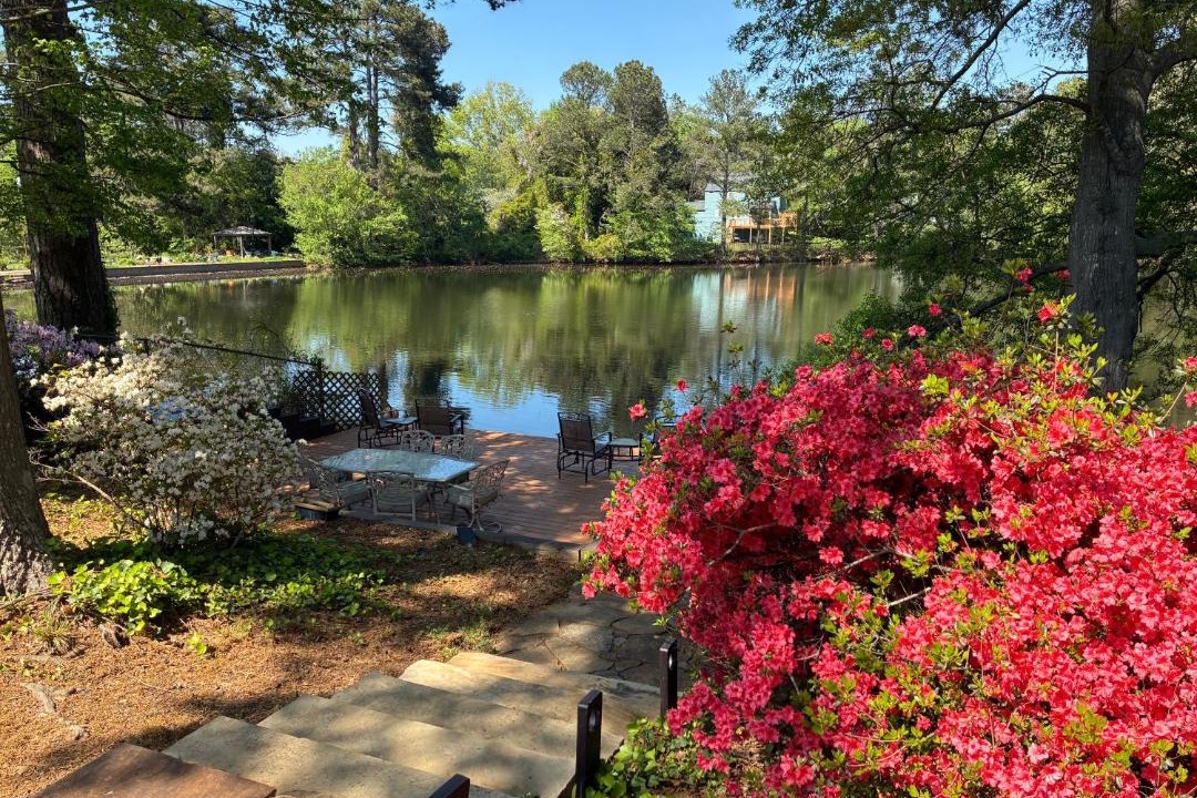 Photo of Others in Marietta
