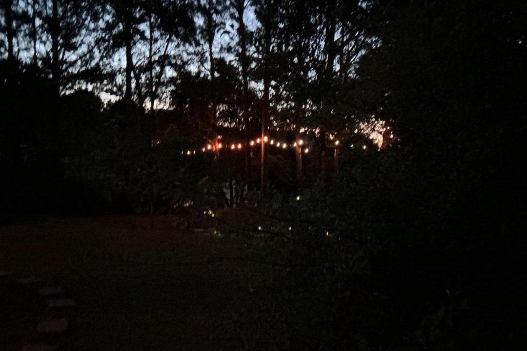 Photo of Others in Conley