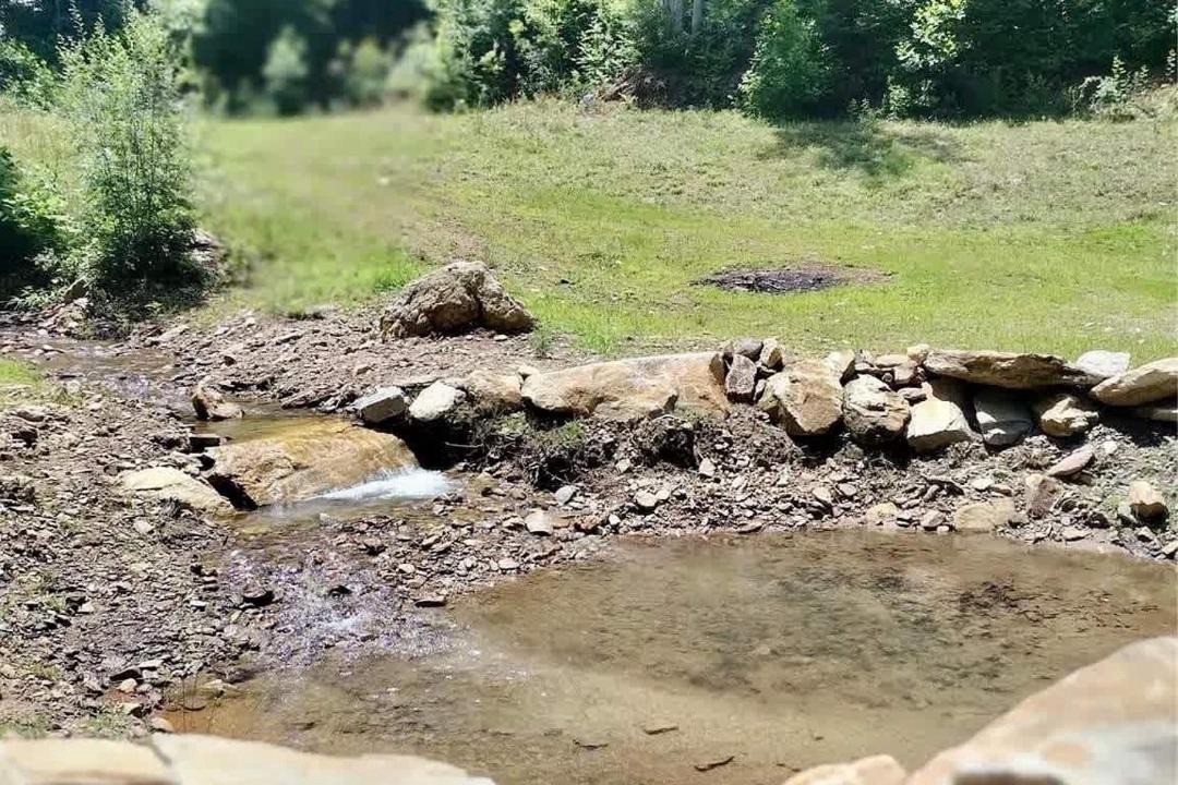 Photo of Others in Flat Rock