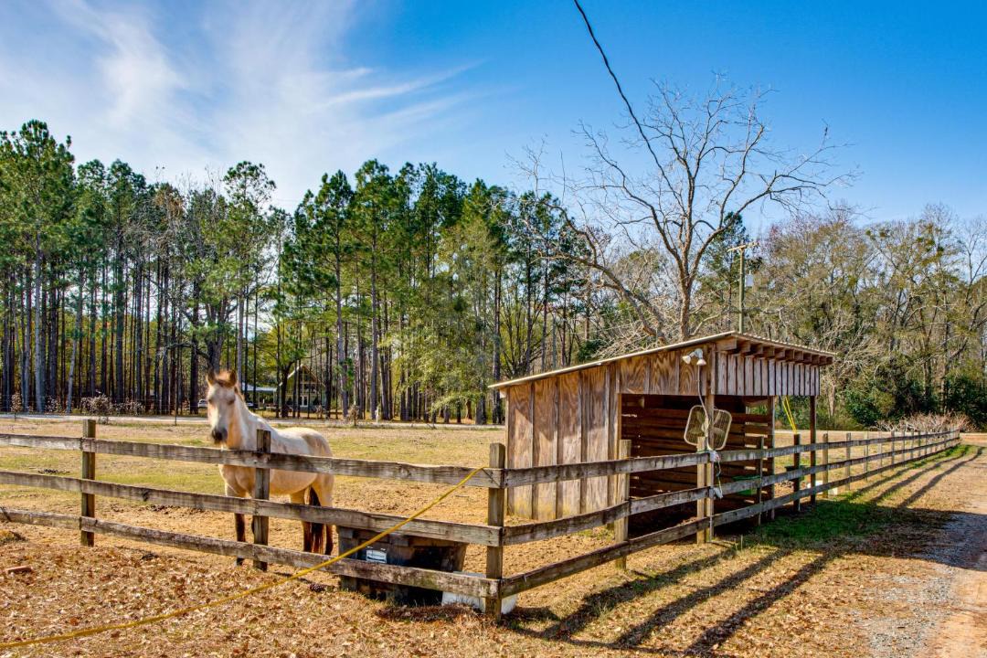 Photo of Others in Colquitt County