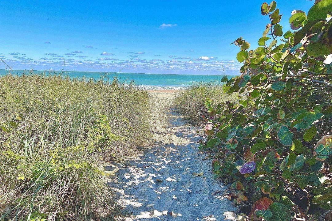 Photo of Others in Jensen Beach