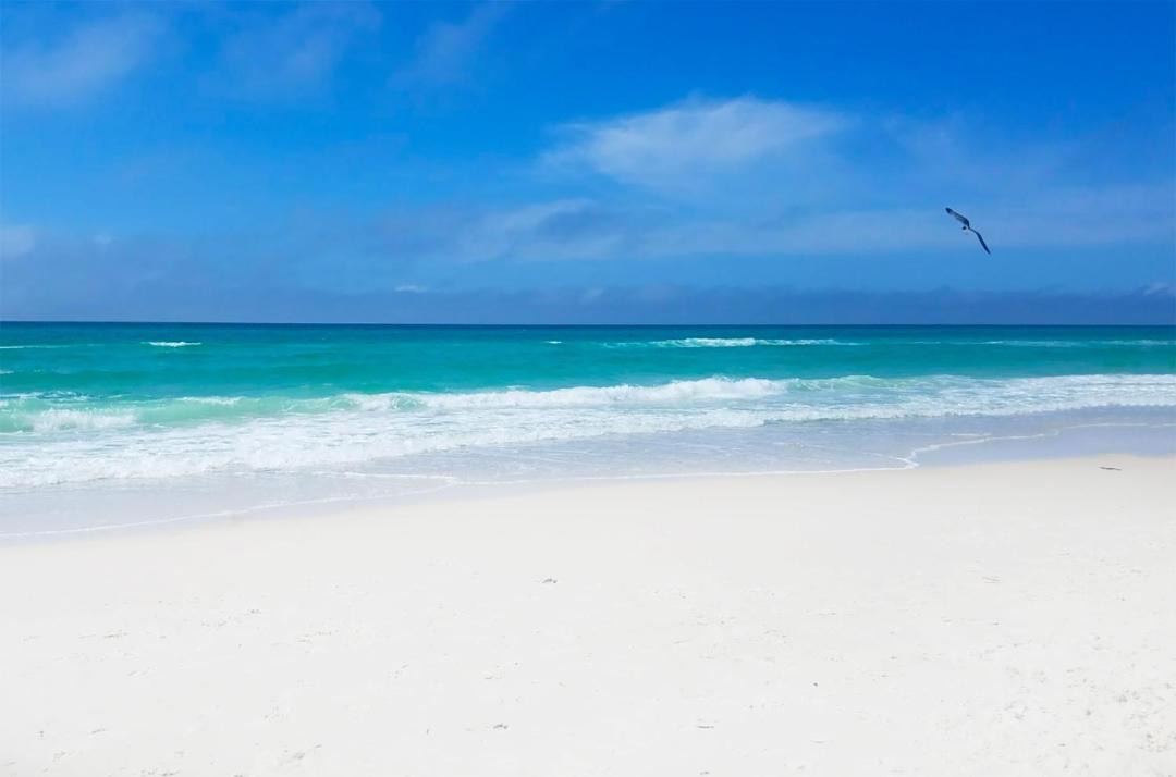 Photo of Others in West Panama City Beach