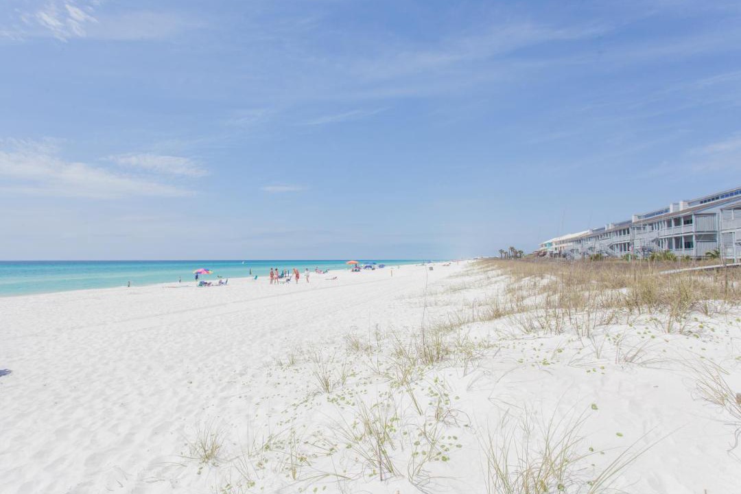 Photo of Others in West Panama City Beach