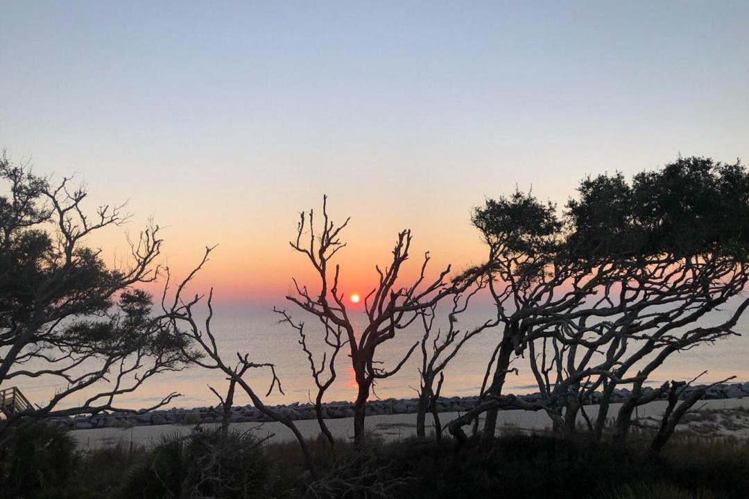 Photo of Others in Jekyll Island