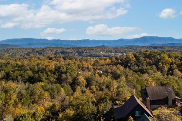 Photo of Others in Sevierville