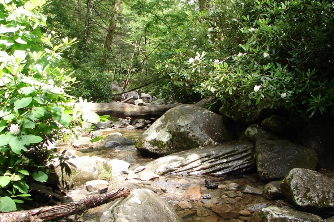 Photo of Others in Sevierville