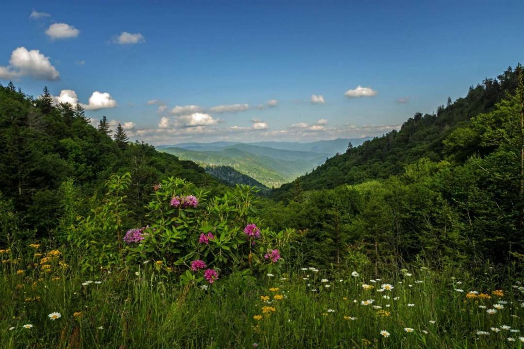 Photo of Others in Sevierville