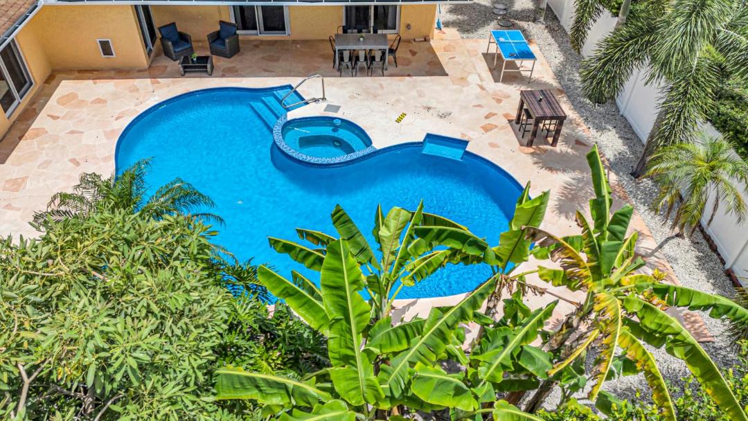 Photo of Others in Tropic Palms
