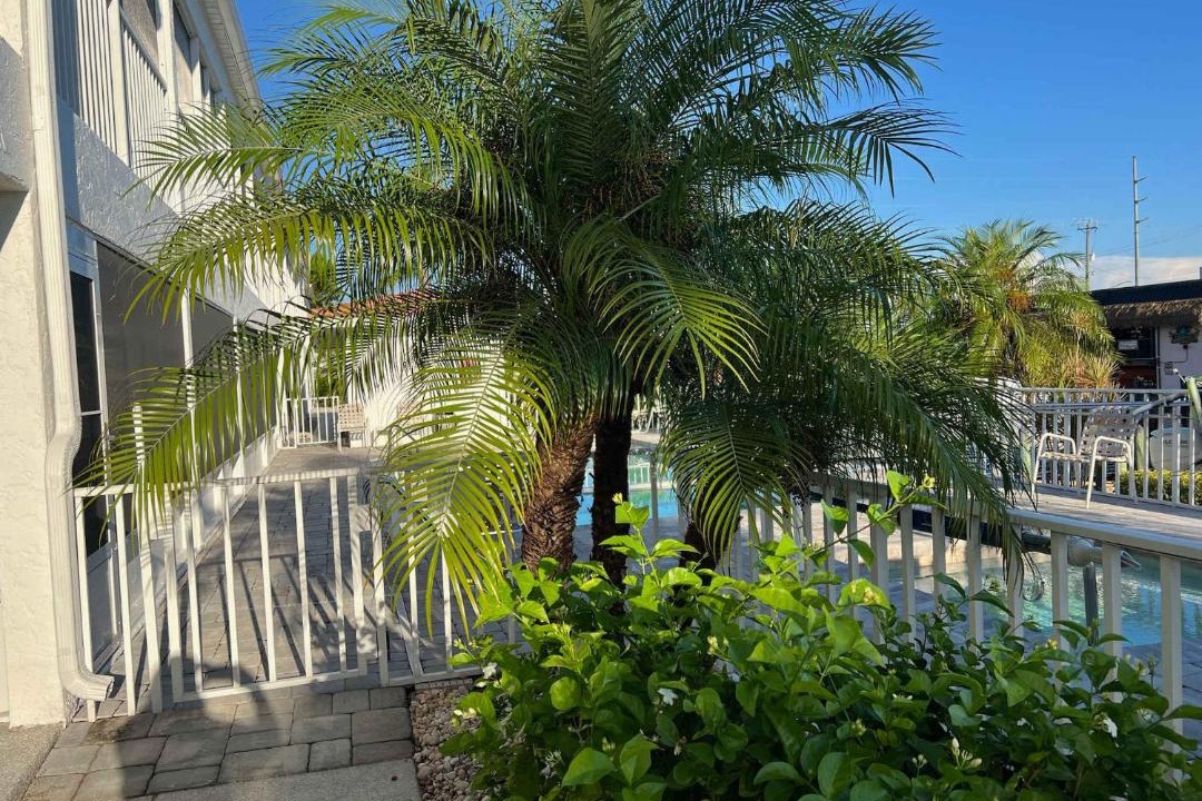Photo of Patio Balcony in Caloosahatchee