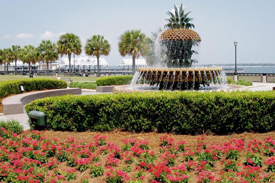 Photo of Others in Charleston