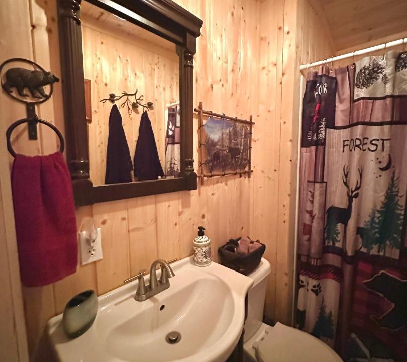 Photo of Bathroom in Cosby