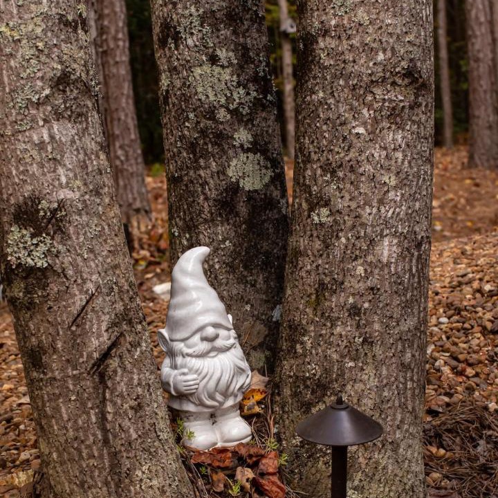 Photo of Others in Mentone