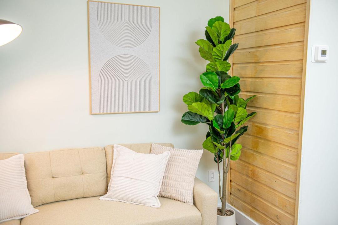 Photo of Livingroom in Madeira Beach