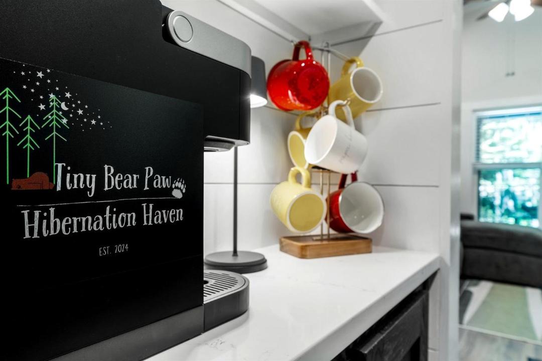 Photo of Kitchen in Mentone