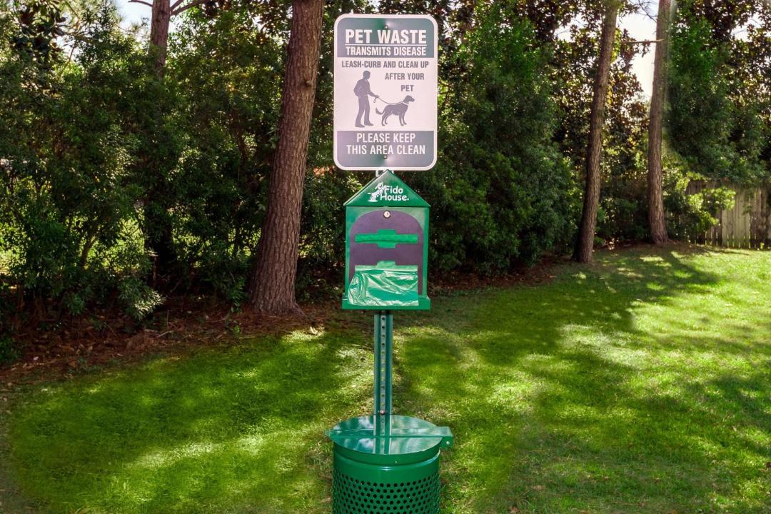 Photo of Others in Tallahassee